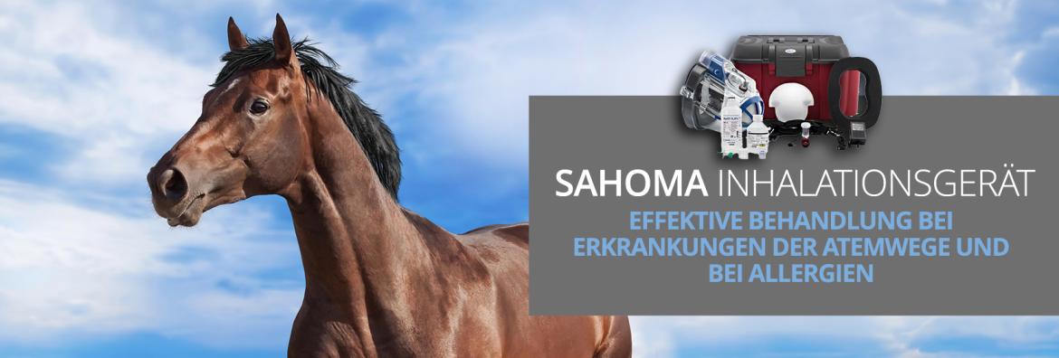 SaHoMa®-II Inhalationsset für Pferde – Effektive Unterstützung bei Atemwegserkrankungen